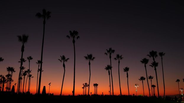California summertime dusk twilight aesthetic, purple dramatic sunset. Palm tree iconic silhouettes on famous Venice beach, Santa Monica pacific ocean resort, Los Angeles CA USA. Atmospheric sundown.