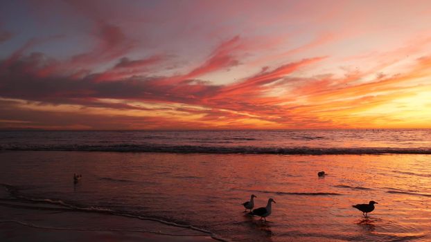 California summertime beach aesthetic, golden sunset. Vivid dramatic clouds over pacific ocean waves. Santa Monica popular resort, Los Angeles CA USA. Atmospheric moody purple evening sundown in LA.