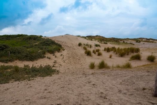 Sand dunes in the Holland desert with grass to protect against the wind