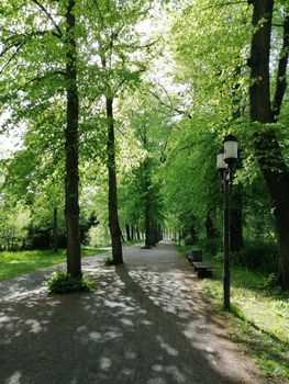 Park near the city of Greifswald. The inner city of greifswald, germany.