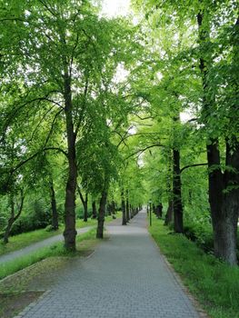 Park near the city of Greifswald. The inner city of greifswald, germany.