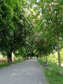 Park near the city of Greifswald. The inner city of greifswald, germany.