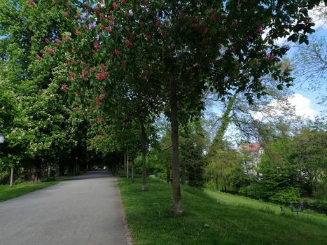 Park near the city of Greifswald. The inner city of greifswald, germany.