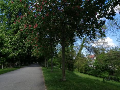 Park near the city of Greifswald. The inner city of greifswald, germany.