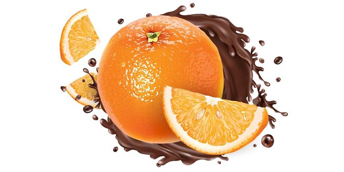 Fresh oranges and a splash of liquid chocolate on a white background. Realistic style illustration.
