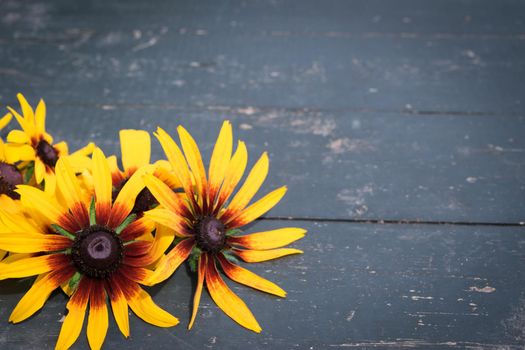 Beautiful summer yellow flowers on old dark wooden table background. Backdrop with copy space