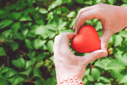 people, relationship and love concept - close up of mans hands holding red heart on green background
