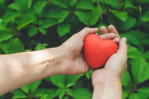 Relationship and love concept - close up of womans hands holding red heart on green background. Day of donor