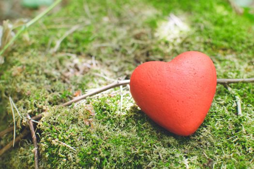 Decorative red heart lying on the moss in the forest. Love concept