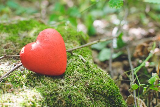Love concept. Red decorative heart in the forest.