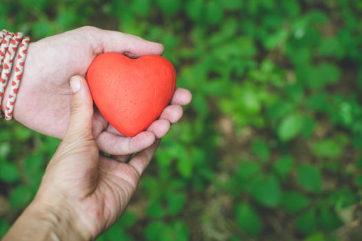 people, relationship and love concept - female and male hands holding red heart on green background