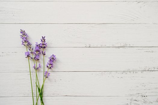 Composition of lavender on wooden background. Fresh summer flowers. Free space