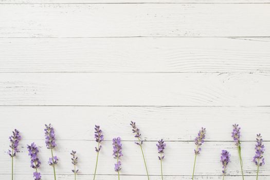 Composition of lavender on white wooden background. Border of violet fresh flowers. Free space. Top view