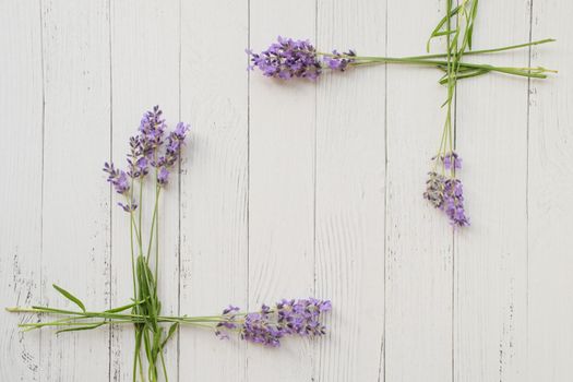 Frame of fresh summer flowers on white wooden background. Composition of violet lavender. Free space. Top view