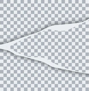 vector modern ripped torn paper on transparent background