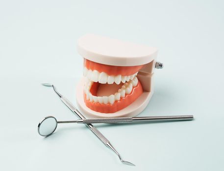 plastic model of a human jaw with white teeth and various dental instruments for the doctor's work in the oral cavity, blue background, close up
