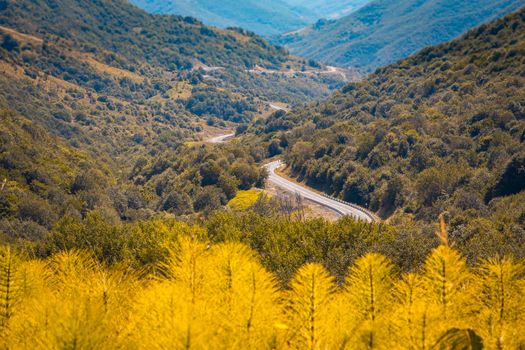 High mountains of the Caucasus with a beautiful view, leaving a winding road. Green vegetation and dense forest above a blue sky. Magnificent mesmerizing landscape. Tinted glass.