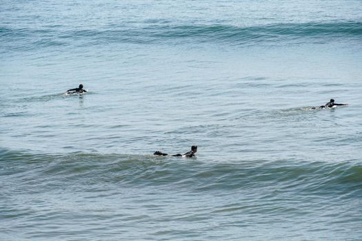 Male surfers enjoying the big wave in Oceanside in North San Diego, California, USA. Travel destination in the South West Coast famous for surfer. January 2n, 2021