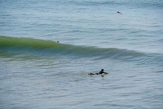 Male surfers enjoying the big wave in Oceanside in North San Diego, California, USA. Travel destination in the South West Coast famous for surfer. January 2n, 2021