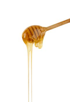 Close up fresh thick fluid acacia honey pouring and flowing from wooden dipper spoon isolated on white background with copy space, low angle side view