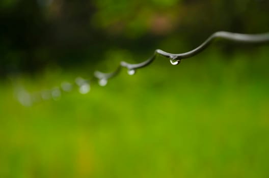 A selective focus shot of a wire with water droplets