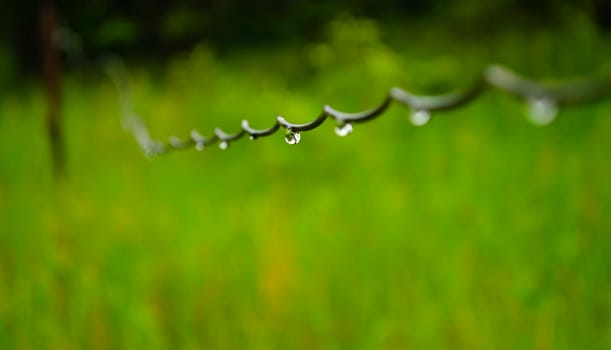 A selective focus shot of a wire with water droplets