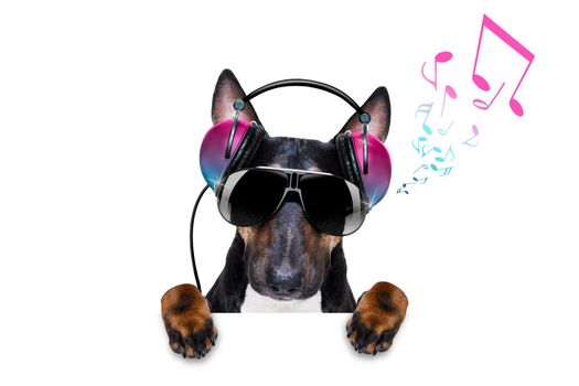 Dj bull terrier dog playing music in a club with disco ball , isolated on white background, with vinyl record behind banner or placard