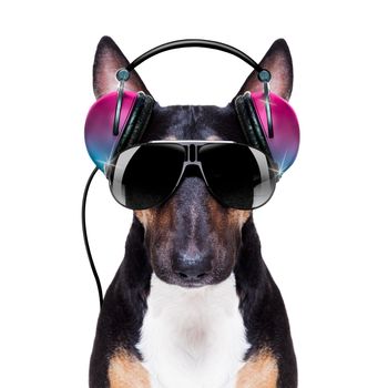 Dj bull terrier dog playing music in a club with disco ball , isolated on white background