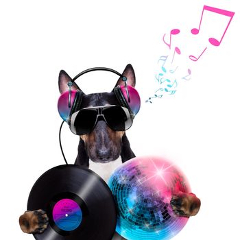 Dj bull terrier dog playing music in a club with disco ball , isolated on white background, with vinyl record