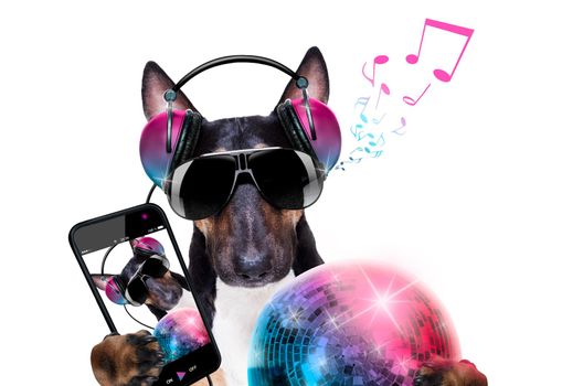 Dj bull terrier dog playing music in a club with disco ball , isolated on white background, making a selfie