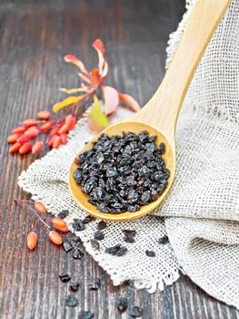 Dried black barberry in a spoon on sacking, sprigs with fresh berries and leaves on a brown wooden board background