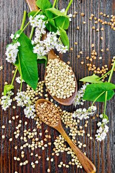 Green and brown buckwheat groats in two spoons with leaves and flowers on a wooden board background from above