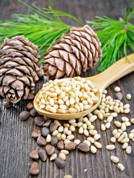 Peeled kernels of cedar nuts in a spoon, pine cones, green branches and nuts in the shell on a wooden board background