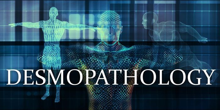 Desmopathology Medicine Study as Medical Concept