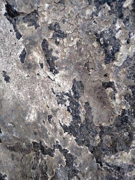 Image of a stone texture. Texture for the background. Natural background for your design.