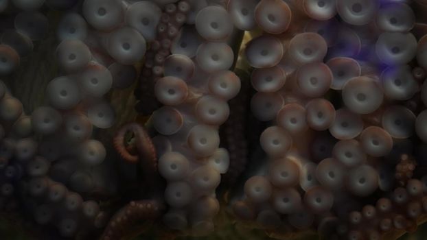 Weird octopus with suckers on arms. Giant squid tentacles macro close up. Large scary hypnotic kraken with eight limbs. Multitask symbol and colossal mollusc monster from legend. Mesmerising sprut.