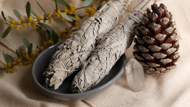 Dried white sage smudge stick, relaxation and aromatherapy. Smudging during psychic occult ceremony, herbal healing, yoga or aura cleaning. Essential incense for esoteric rituals and fortune telling.