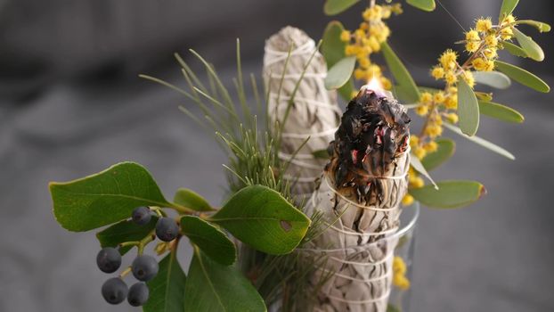 Dried white sage smudge stick, relaxation and aromatherapy. Smudging during psychic occult ceremony, herbal healing, yoga or aura cleaning. Essential incense for esoteric rituals and fortune telling.