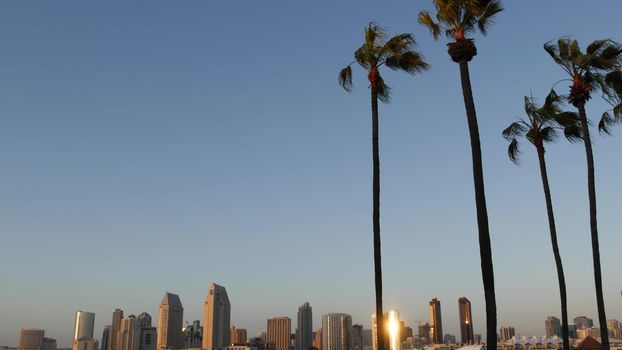 Metropolis urban skyline, highrise skyscrapers, San Diego Bay, California USA. Pacific ocean harbour in sunset light, view from Coronado island. City downtown buildings and silhouettes of palm trees.