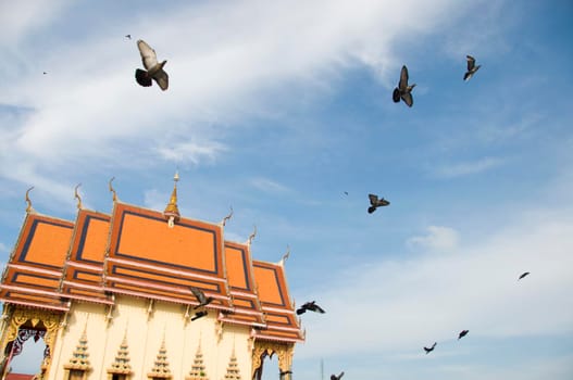 Flying pigeons on background of temple, View of birds flying in blue sky near colorful oriental temple