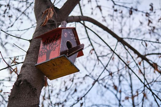 A wooden bird feeder is hanging on a tree. Family values. concept. Environmental protection