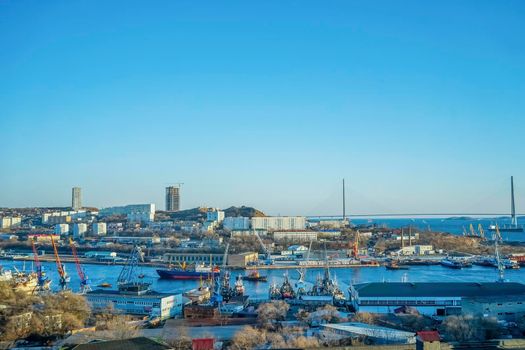Cityscape with views of the port and the Russian bridge. Vladivostok, Russia
