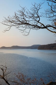 Landscape with a dry tree on the background of the sea.