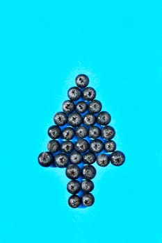 Group of blueberries on blue background in the shape of tree  or arrow