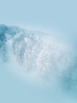 Ski slope in Caucasus mountains, Sochi, Russia, Beautiful winter landscape with forest trees covered with snow frost