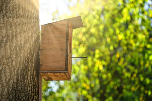 A birdhouse made of plywood on a thick tree trunk and natural background in Sunny day.