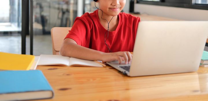 asian boy student studying learning lesson online. remote meeting distance education at home