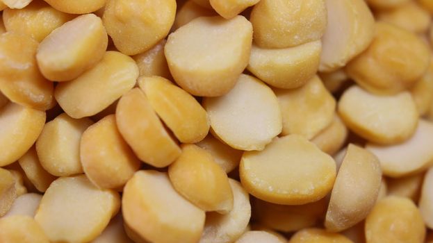 Yellow chickpea lentils seeds macro closeup view. Chana daal or yellow split peas spread background
