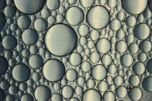 abstract macro background of oil circles floating over water surface . Macro closeup view of bubbles on water . oil bubbles in the water macro photographic background