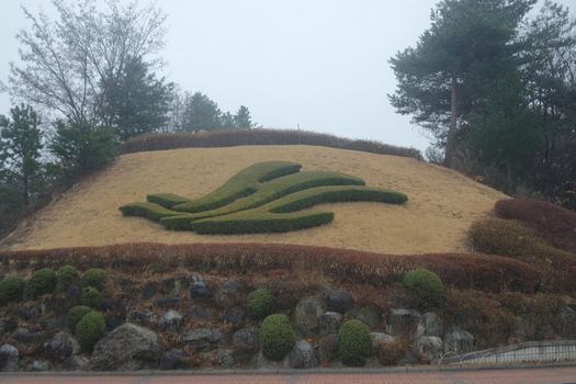 A beautiful grass cutting shape on a small muddy mountain in a public park